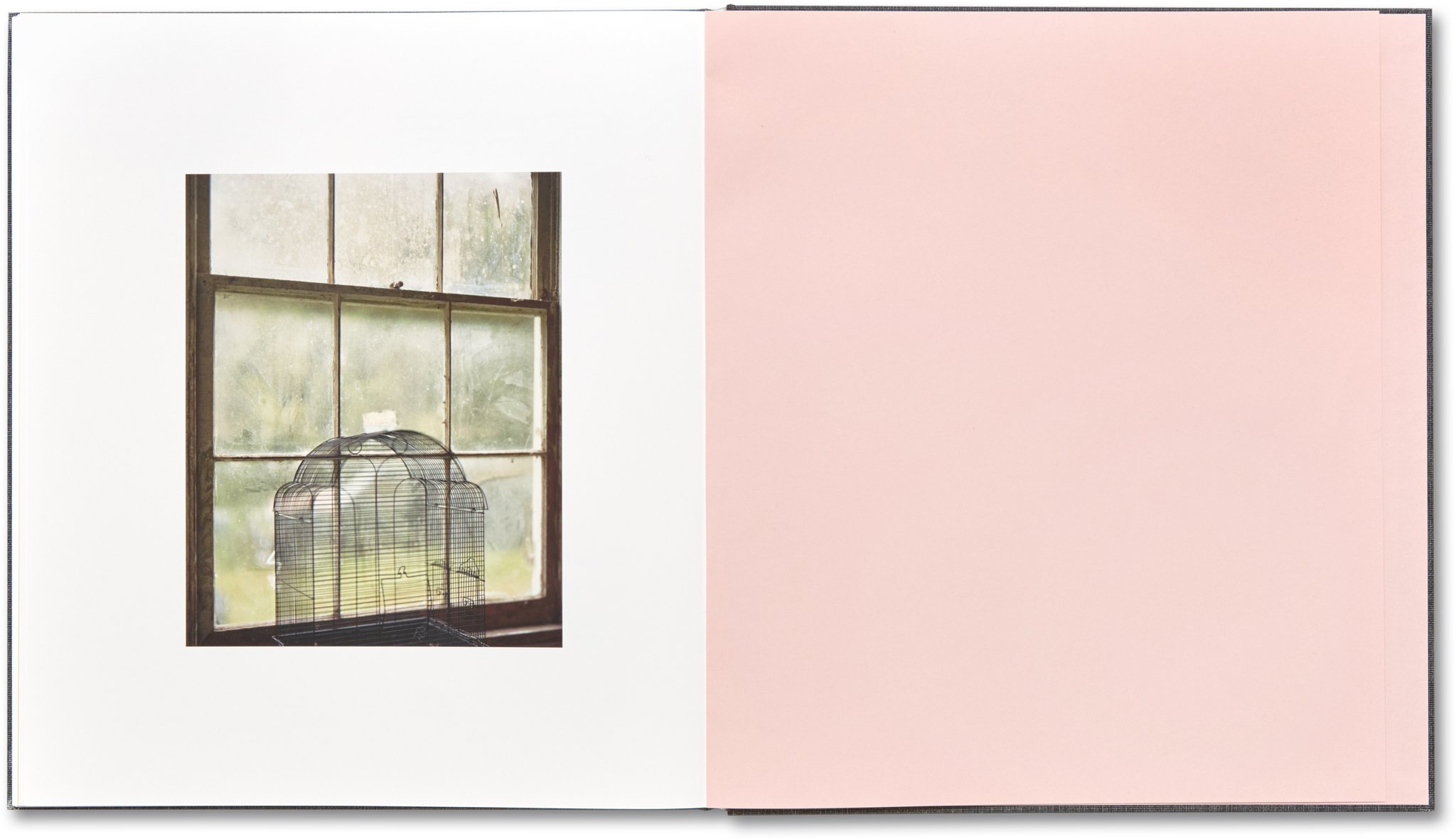 Alec_Soth30_2048x2048